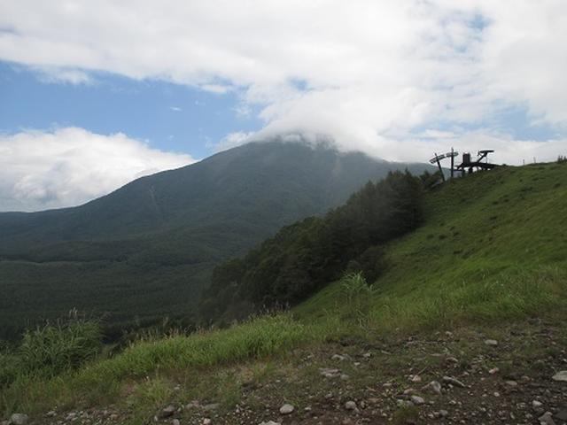 画像11: 【山旅会・登山ガイドこだわりツアー】初秋の花咲く八子ヶ峰ツアーのご案内