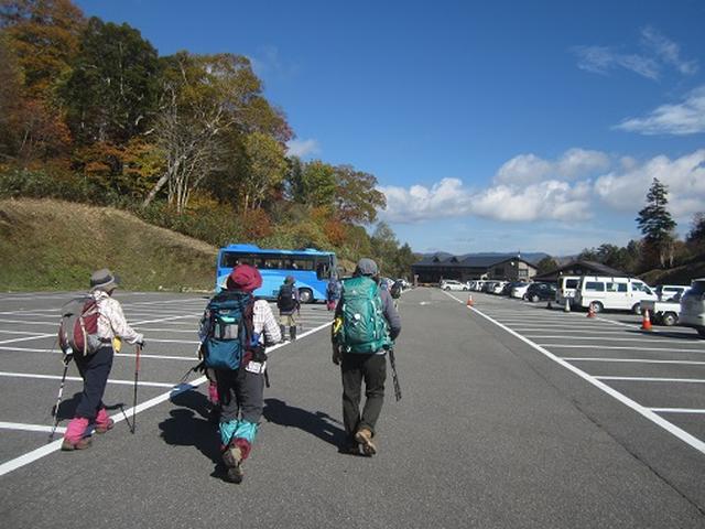 画像8: 【山旅会・登山ガイドこだわりツアー】岡田ガイドからの便り・尾瀬燧裏林道ツアーのご案内