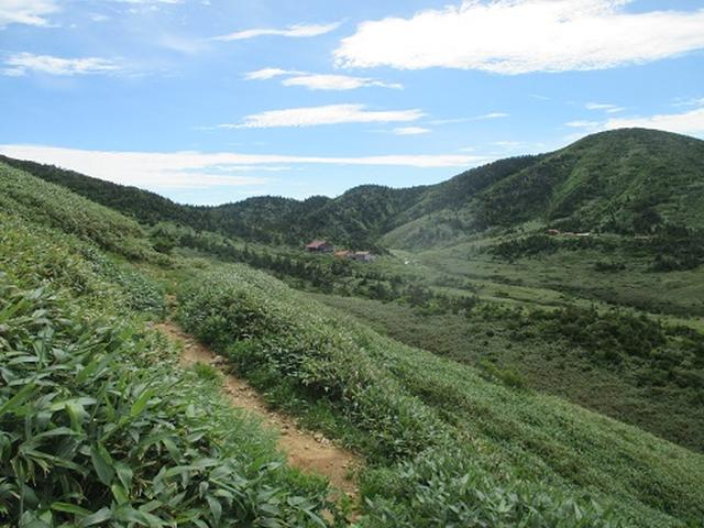 画像12: 【山旅会・登山ガイドこだわりツアー】岡田ガイドからの便り・白山ツアーにいってまいりました!(その1)