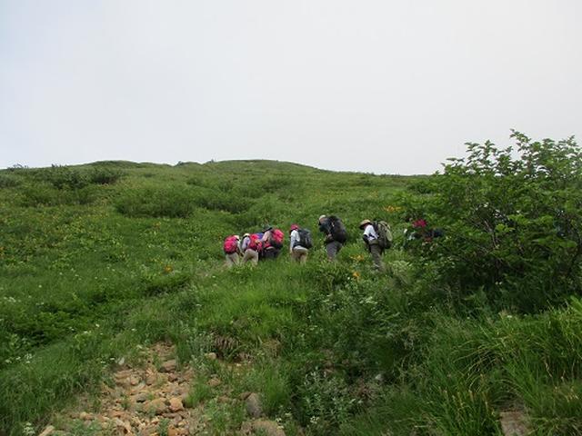 画像5: 【山旅会・登山ガイドこだわりツアー】岡田ガイドからの便り・白山ツアーにいってまいりました!(その2)