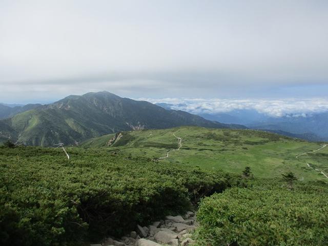 画像6: 【山旅会・登山ガイドこだわりツアー】岡田ガイドからの便り・白山ツアーにいってまいりました!(その2)