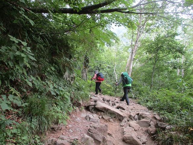 画像5: 【山旅会・登山ガイドこだわりツアー】岡田ガイドからの便り・白山ツアーにいってまいりました!(その1)