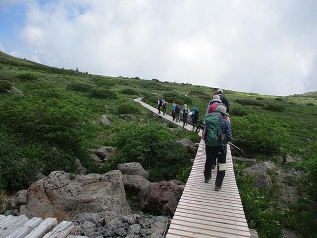 画像3: 【山旅会・登山ガイドこだわりツアー】岡田ガイドからの便り・白山ツアーにいってまいりました!(その3)