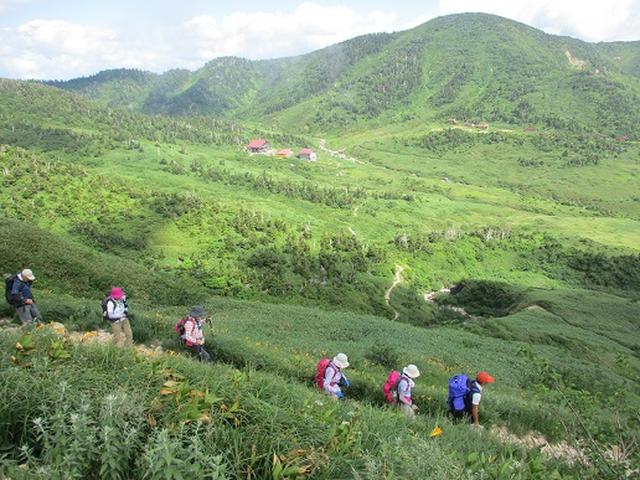 画像6: 【山旅会・登山ガイドこだわりツアー】岡田ガイドからの便り・白山ツアーにいってまいりました!(その3)