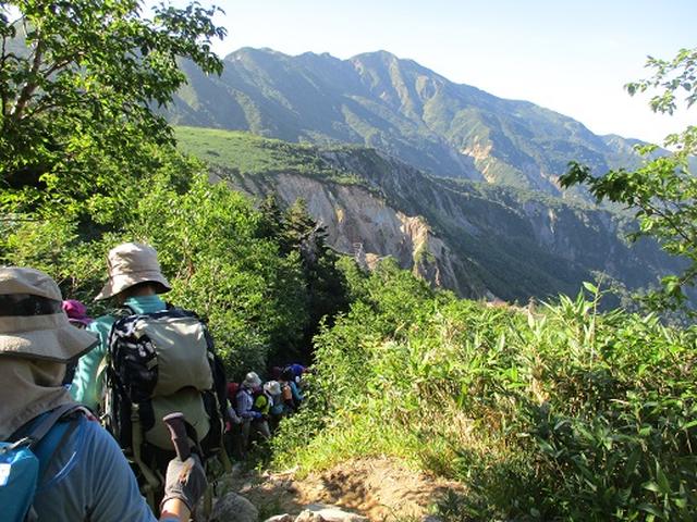画像8: 【山旅会・登山ガイドこだわりツアー】岡田ガイドからの便り・白山ツアーにいってまいりました!(その3)