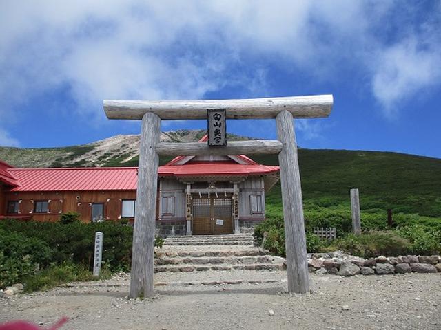 画像2: 【山旅会・登山ガイドこだわりツアー】岡田ガイドからの便り・白山ツアーにいってまいりました!(その3)