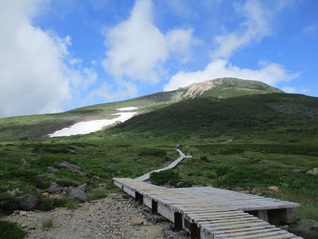 画像4: 【山旅会・登山ガイドこだわりツアー】岡田ガイドからの便り・白山ツアーにいってまいりました!(その3)