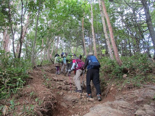 画像13: 【山旅会・登山ガイドこだわりツアー】添乗員からの便り・入笠山ツアーにいってまいりました!(その1)