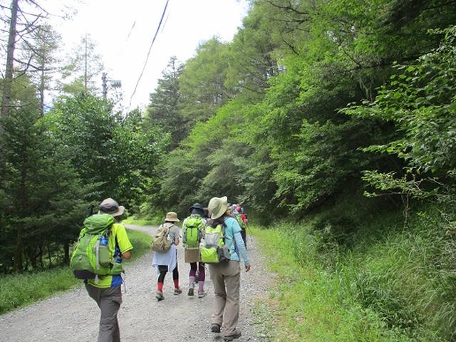 画像10: 【山旅会・登山ガイドこだわりツアー】添乗員からの便り・入笠山ツアーにいってまいりました!(その1)