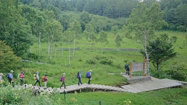 画像8: 【山旅会・登山ガイドこだわりツアー】添乗員からの便り・入笠山ツアーにいってまいりました!(その2)
