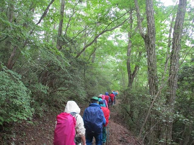 画像2: 【山旅会・登山ガイドこだわりツアー】添乗員からの便り・大塚山にいってまいりました!(その2)