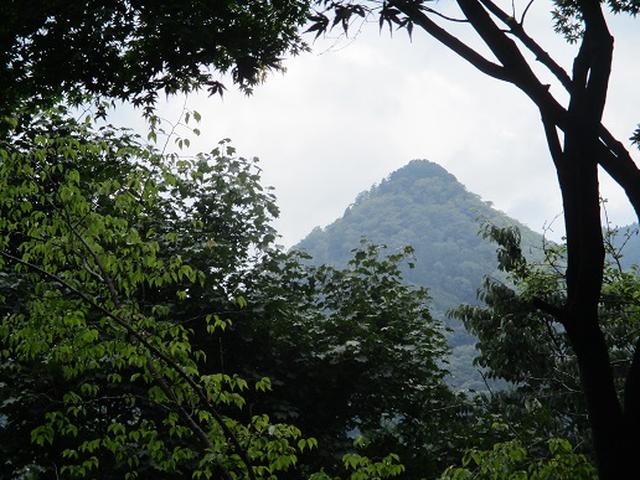 画像3: 【山旅会・登山ガイドこだわりツアー】添乗員からの便り・大塚山にいってまいりました!(その2)