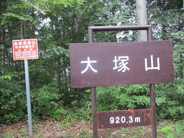 画像11: 【山旅会・登山ガイドこだわりツアー】添乗員からの便り・大塚山にいってまいりました!(その1)