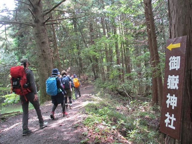 画像4: 【山旅会・登山ガイドこだわりツアー】添乗員からの便り・大塚山にいってまいりました!(その2)