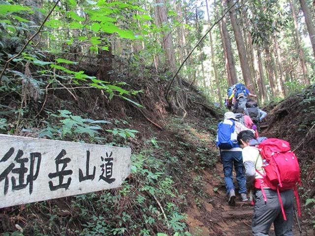 画像3: 【山旅会・登山ガイドこだわりツアー】添乗員からの便り・大塚山にいってまいりました!(その1)