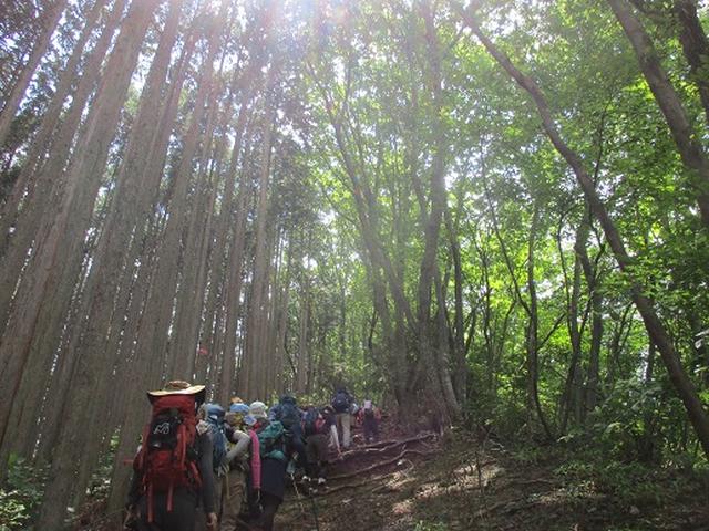 画像9: 【山旅会・登山ガイドこだわりツアー】添乗員からの便り・大塚山にいってまいりました!(その1)