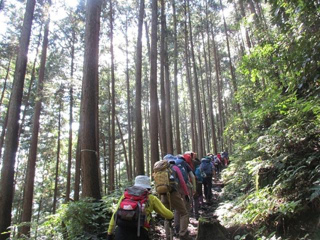 画像2: 【山旅会・登山ガイドこだわりツアー】添乗員からの便り・大塚山にいってまいりました!(その1)