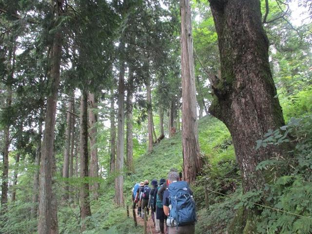 画像9: 【山旅会・登山ガイドこだわりツアー】添乗員からの便り・大塚山にいってまいりました!(その2)