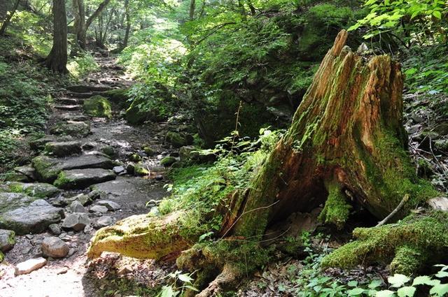 画像: 登山未経験者の最初の難関!?まずはどこの山に行ったらいいの? - クラブログ ~スタッフブログ~|クラブツーリズム clublog.club-t.com