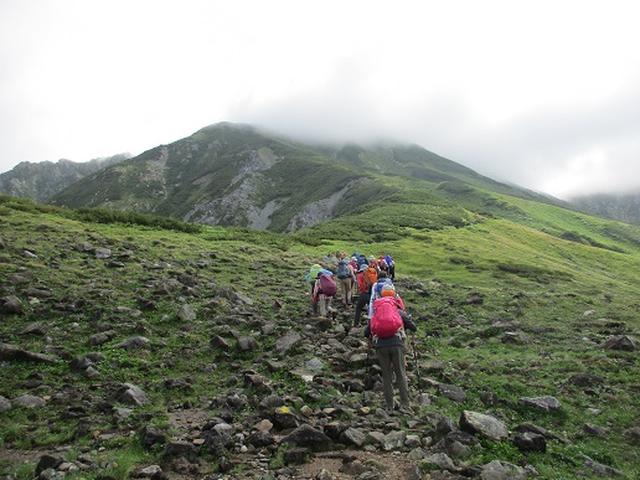 画像4: 【山旅会・登山ガイドこだわりツアー】岡田ガイドからの便り・立山の別山にいってまいりました!(その2)