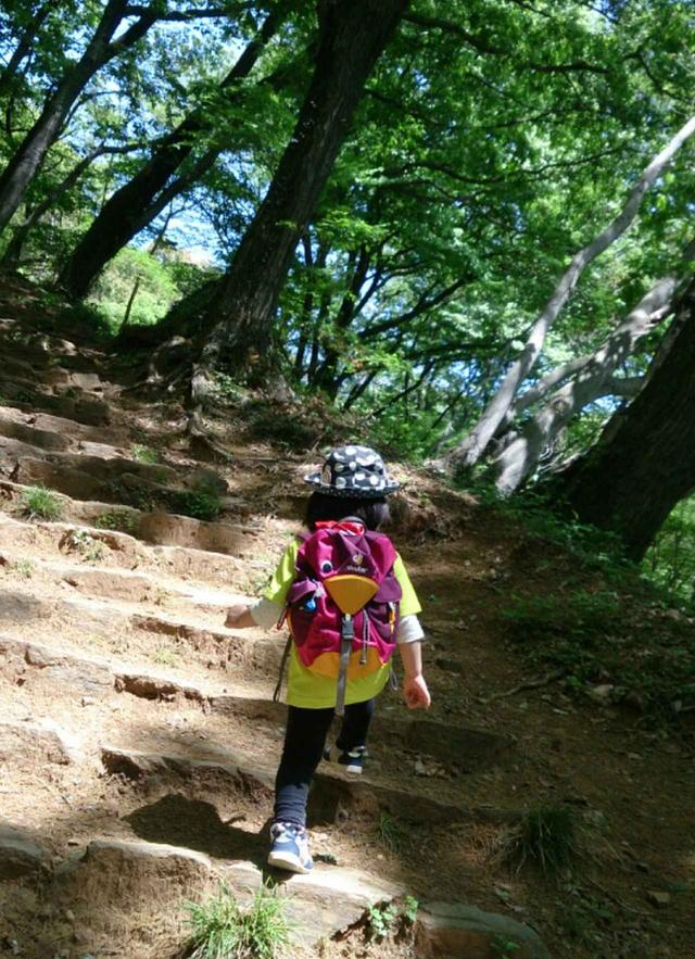 画像: 4歳児の登山風景。 奥武蔵・多峯主山に登りました。 標高差約100m・約1時間の登りは、ほぼコースタイムどおりで自分の足で歩けましたが、下りは疲れてしまい背負って下山しました。 4歳とは言え15㎏以上の子どもを背負っての下山と、お隣の天覧山への登り返しは、けっこうきつかった記憶があります。