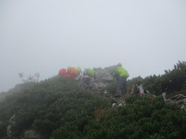 画像10: 【山旅会・登山ガイドこだわりツアー】添乗員からの便り・唐松岳ツアーにいってまいりました!(その3)