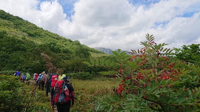 画像3: 【山旅会・登山ガイドこだわりツアー】添乗員からの便り・唐松岳ツアーにいってまいりました!(その1)