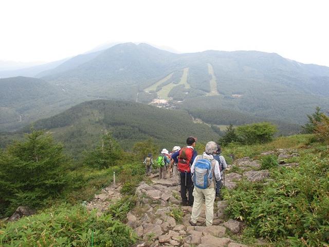 画像13: 【山旅会・登山ガイドこだわりツアー】岡田ガイドからの便り・湯の丸山ツアーにいってまいりました!