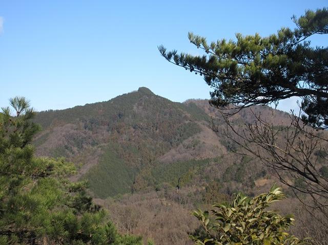 画像5: 【山旅会・登山ガイドこだわりツアー】岡田ガイドからの便り・足利行道山ツアーのご案内