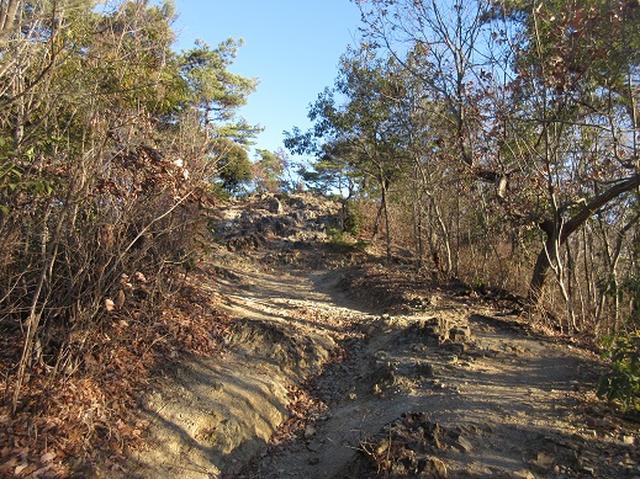 画像2: 【山旅会・登山ガイドこだわりツアー】岡田ガイドからの便り・足利行道山ツアーのご案内