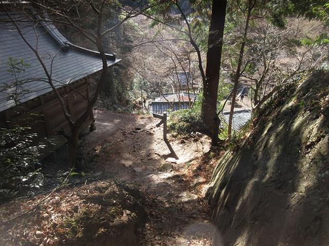 画像11: 【山旅会・登山ガイドこだわりツアー】岡田ガイドからの便り・足利行道山ツアーのご案内