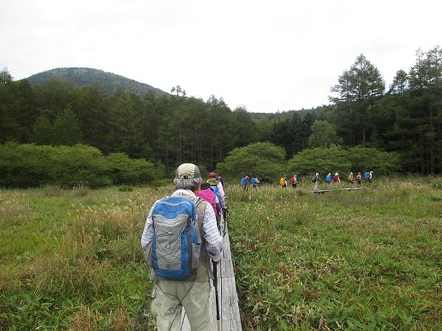 画像14: 【山旅会・登山ガイドこだわりツアー】岡田ガイドからの便り・湯の丸山ツアーにいってまいりました!