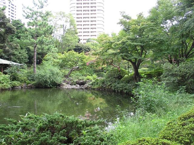 画像12: 【山旅会・登山ガイドこだわりツアー】岡田ガイドからの便り・都内の山の下見にいってまいりました!