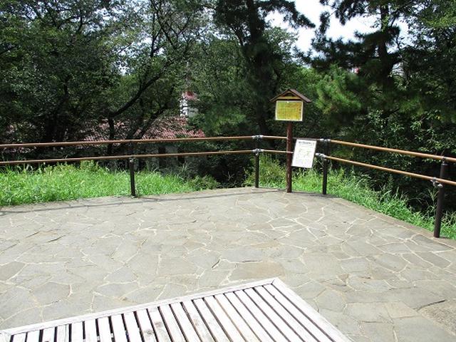画像7: 【山旅会・登山ガイドこだわりツアー】岡田ガイドからの便り・都内の山の下見にいってまいりました!