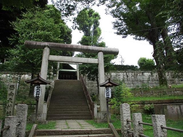 画像2: 【山旅会・登山ガイドこだわりツアー】岡田ガイドからの便り・都内の山の下見にいってまいりました!