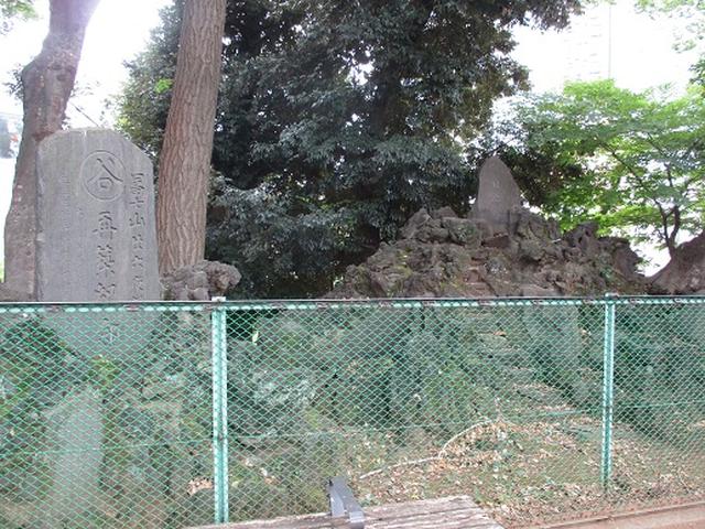 画像3: 【山旅会・登山ガイドこだわりツアー】岡田ガイドからの便り・都内の山の下見にいってまいりました!