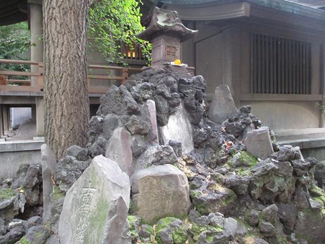 画像1: 【山旅会・登山ガイドこだわりツアー】岡田ガイドからの便り・都内の山の下見にいってまいりました!
