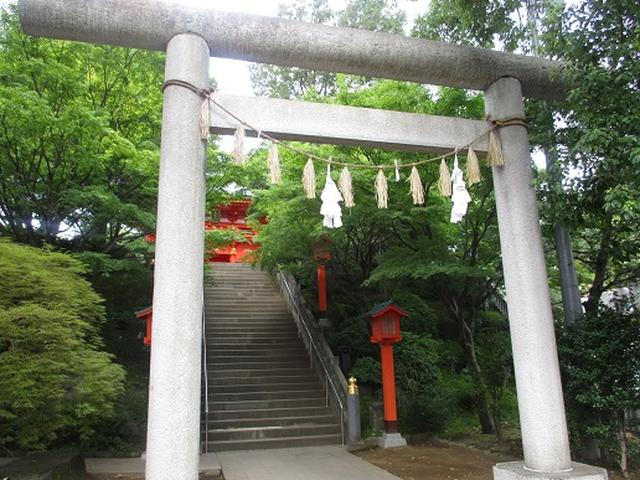 画像9: 【山旅会・登山ガイドこだわりツアー】岡田ガイドからの便り・都内の山の下見にいってまいりました!