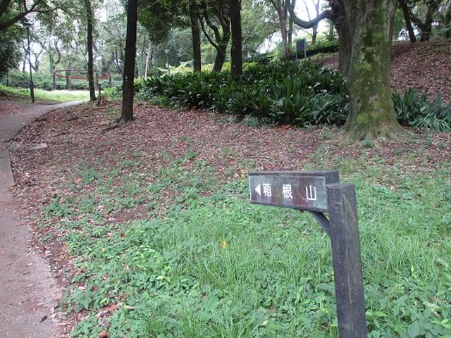 画像4: 【山旅会・登山ガイドこだわりツアー】岡田ガイドからの便り・都内の山の下見にいってまいりました!