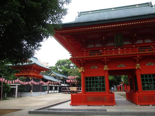 画像10: 【山旅会・登山ガイドこだわりツアー】岡田ガイドからの便り・都内の山の下見にいってまいりました!