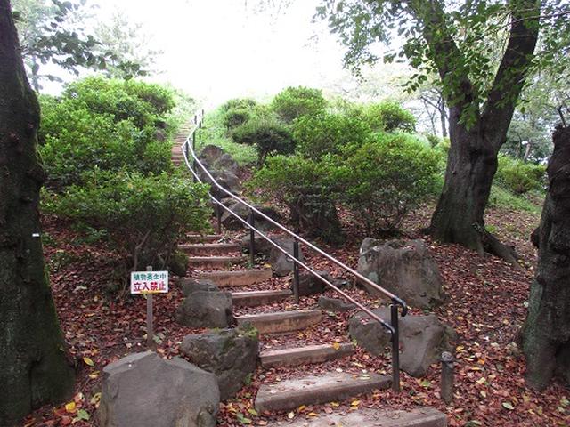 画像6: 【山旅会・登山ガイドこだわりツアー】岡田ガイドからの便り・都内の山の下見にいってまいりました!