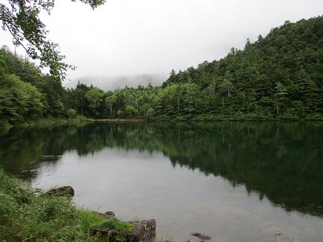 画像8: 【山旅会・登山ガイドこだわりツアー】岡田ガイドからの便り・双子池から亀甲池ツアーの下見にいってまいりました!