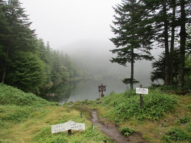 画像7: 【山旅会・登山ガイドこだわりツアー】岡田ガイドからの便り・双子池から亀甲池ツアーの下見にいってまいりました!