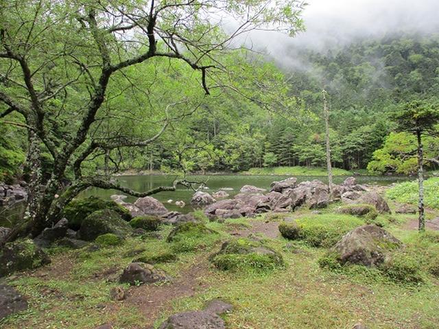 画像11: 【山旅会・登山ガイドこだわりツアー】岡田ガイドからの便り・双子池から亀甲池ツアーの下見にいってまいりました!