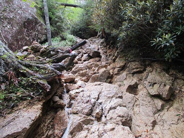 画像7: 【山旅会・登山ガイドこだわりツアー】岡田ガイドからの便り・瑞牆山に下見にいってまいりました!