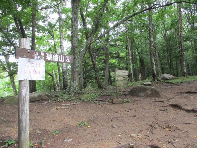 画像2: 【山旅会・登山ガイドこだわりツアー】岡田ガイドからの便り・瑞牆山に下見にいってまいりました!