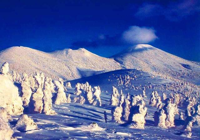 画像: ■樹氷(写真は八甲田山) アオモリトドマツなどの木々に雪が付着してできる造形美は「スノーモンスター」などの愛称で呼ばれています。青森県の八甲田山、秋田県の森吉山、山形県の蔵王山が有名です。