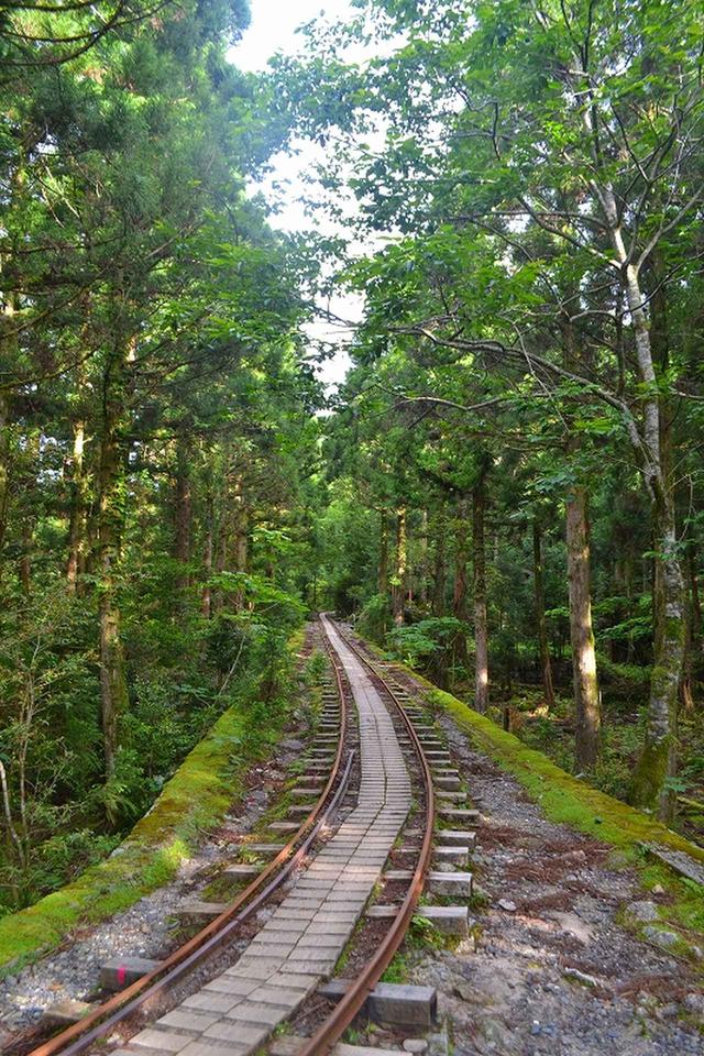 画像: 小杉谷集落跡