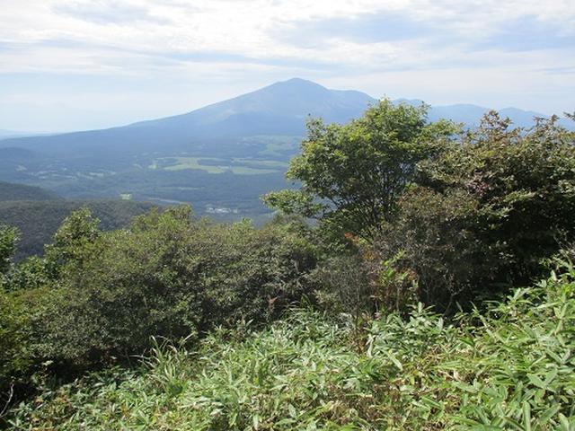 画像7: 【山旅会・登山ガイドこだわりツアー】岡田ガイドからの便り・浅間隠山ツアーにいってまいりました!