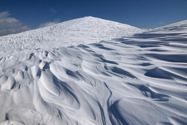 画像: ■シュカブラ(写真は森吉山) 雪面に強い風が吹き付ける事でできる不思議な文様。雪の降り具合や風向き・強さによって、様々なパターンが現れる様子は「一期一会」の絶景です。